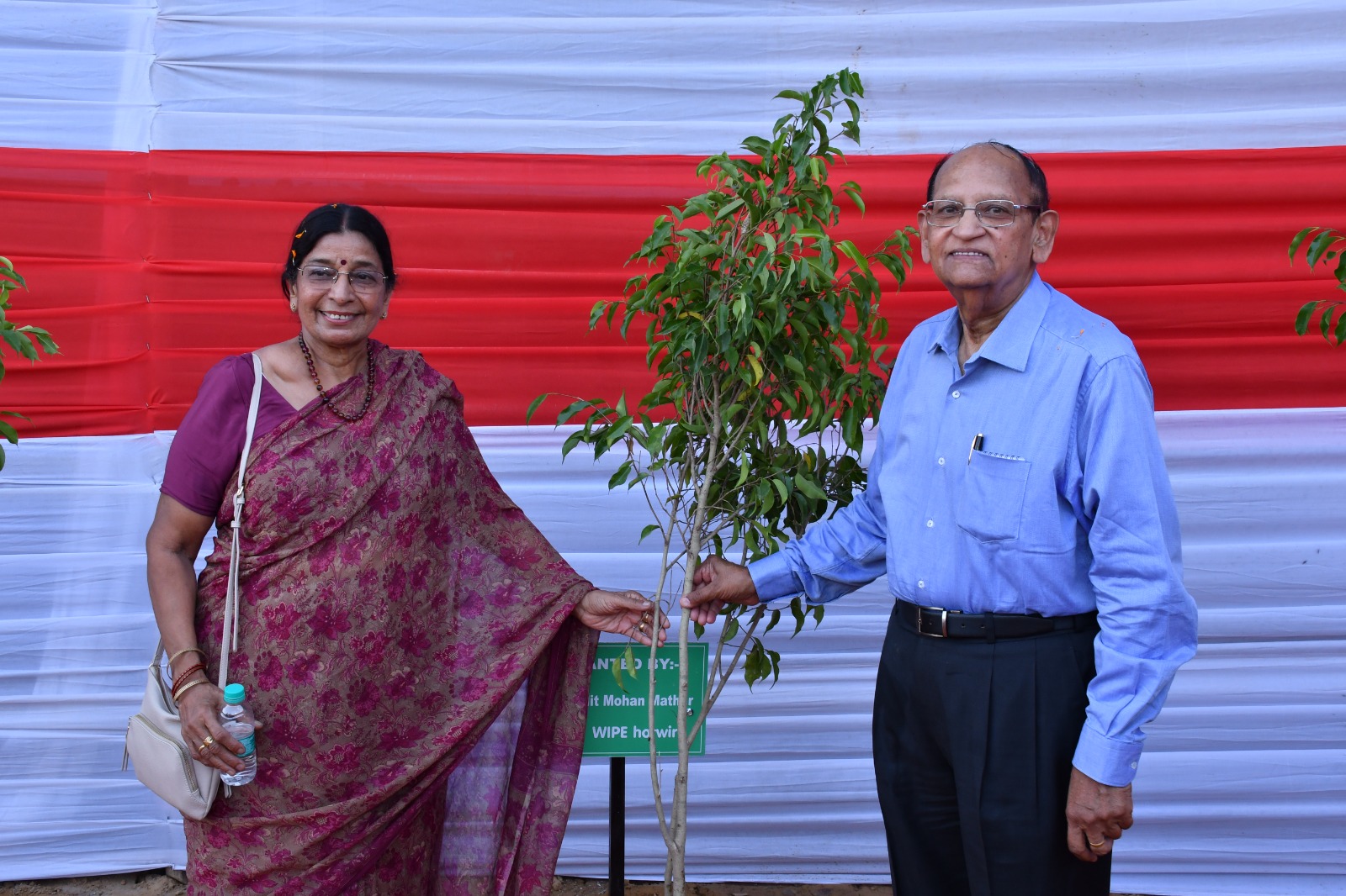 Plantation Drive